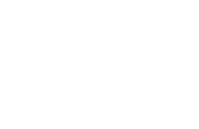 Gemini Gallery