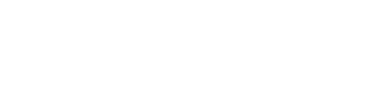 Polish Business Hub Nederland