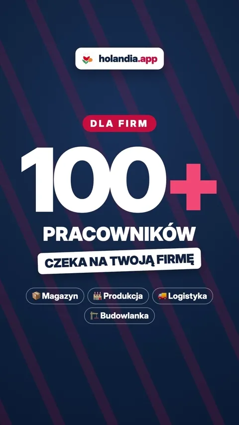 holandia.app - 100+ pracowników dla firm