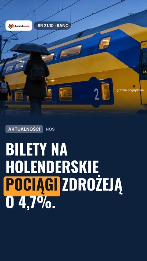 holandia.app - Wiadomości dnia (AI)